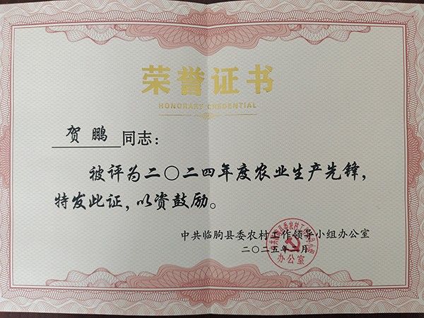 榮譽(yù)證書(shū)