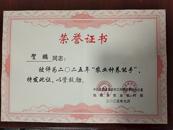 榮譽(yù)證書(shū)